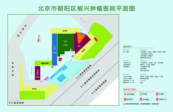 大鸡巴操小嫩逼网站北京市朝阳区桓兴肿瘤医院平面图